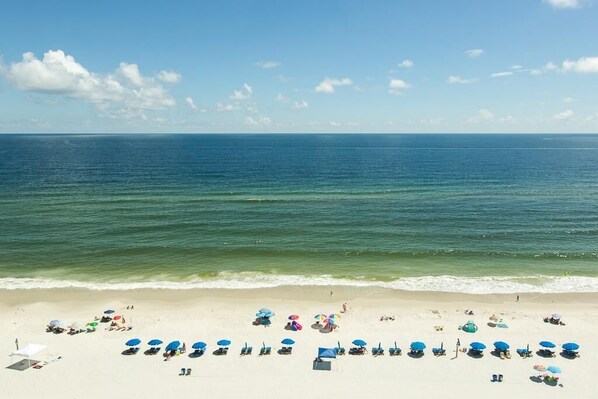 Condo, Multiple Beds (Gulf Tower 11D) | Beach