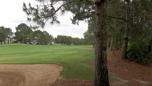 Un terrain de golf avec un bunker de sable et un pin au premier plan.