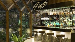 Zona de bar con un letrero que dice 'Coffee Machine', estantes llenos de botellas y vistas a la vegetación a través de amplias ventanas.