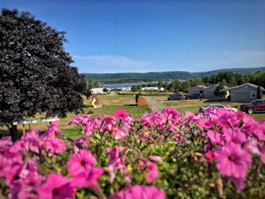 المنطقة المحيطة بالمنشأة