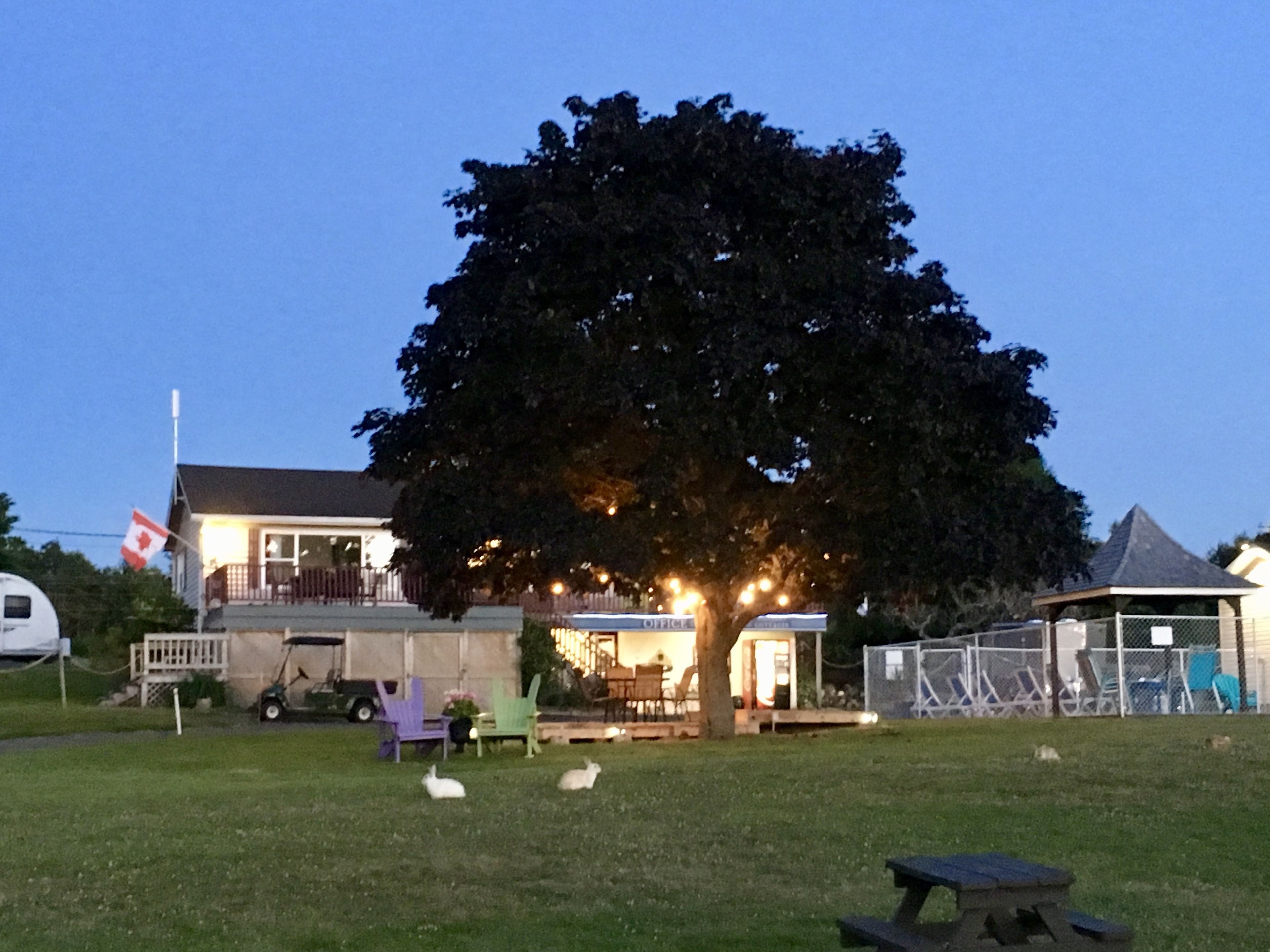 A house with a large tree in front, a flag, and a picnic table.
