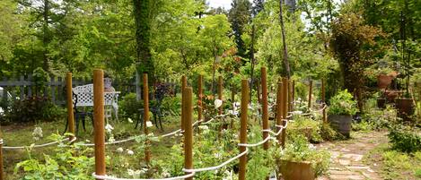 A garden with wooden trellises and a stone pathway.