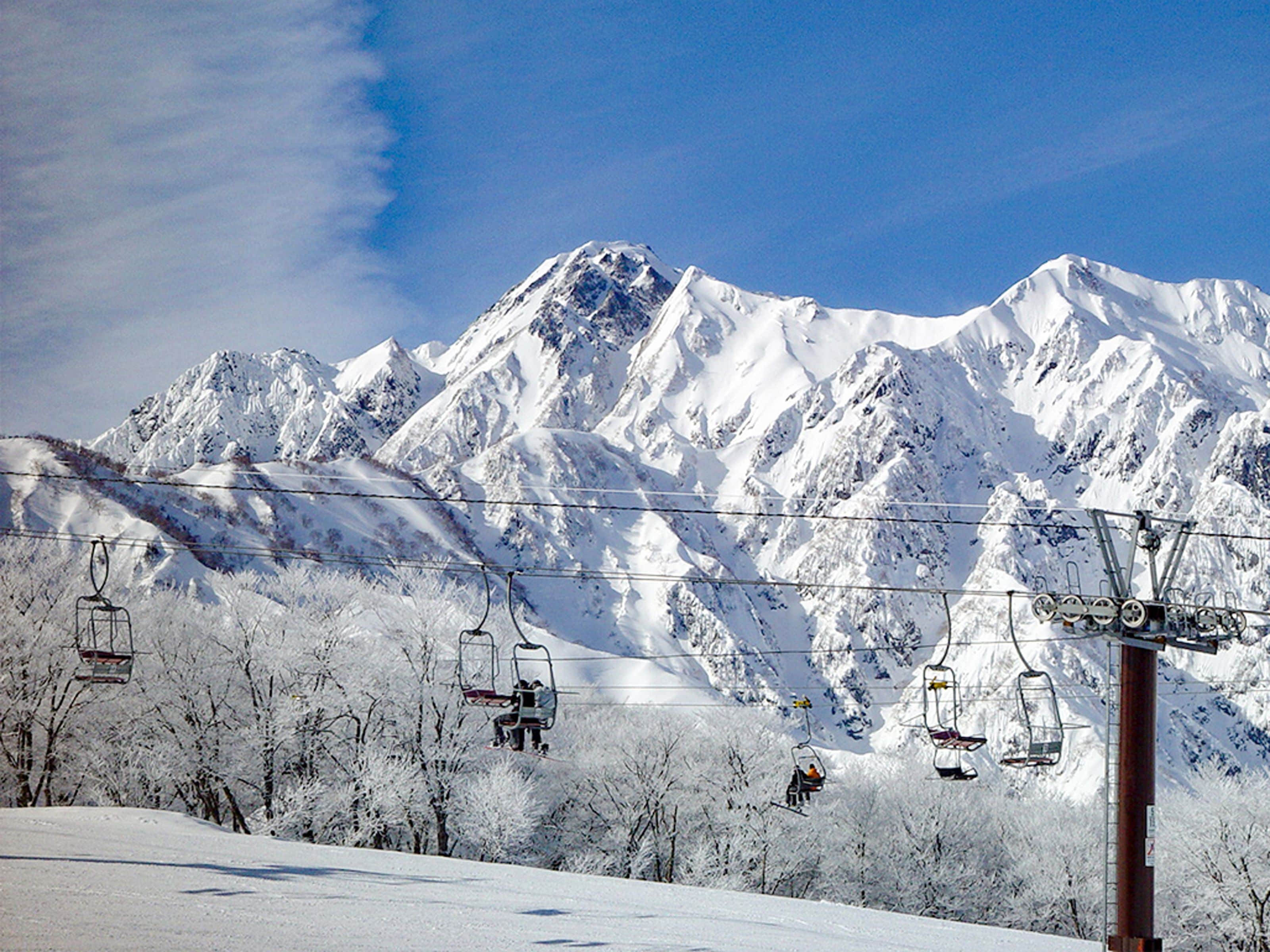 A snow-covered mountain with ski lifts and trees.