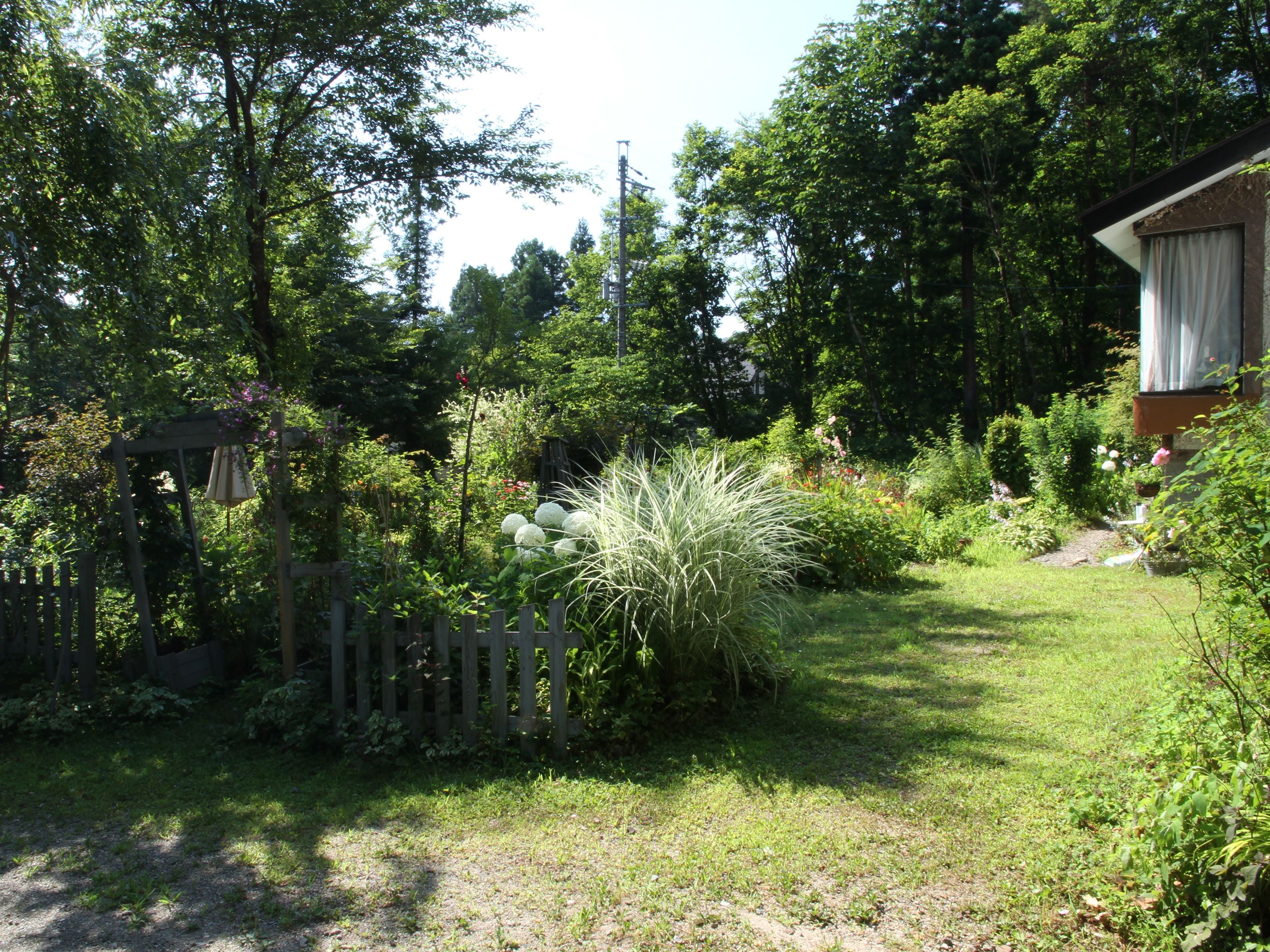 Un jardín con cerca de madera, diversas plantas y una pérgola.