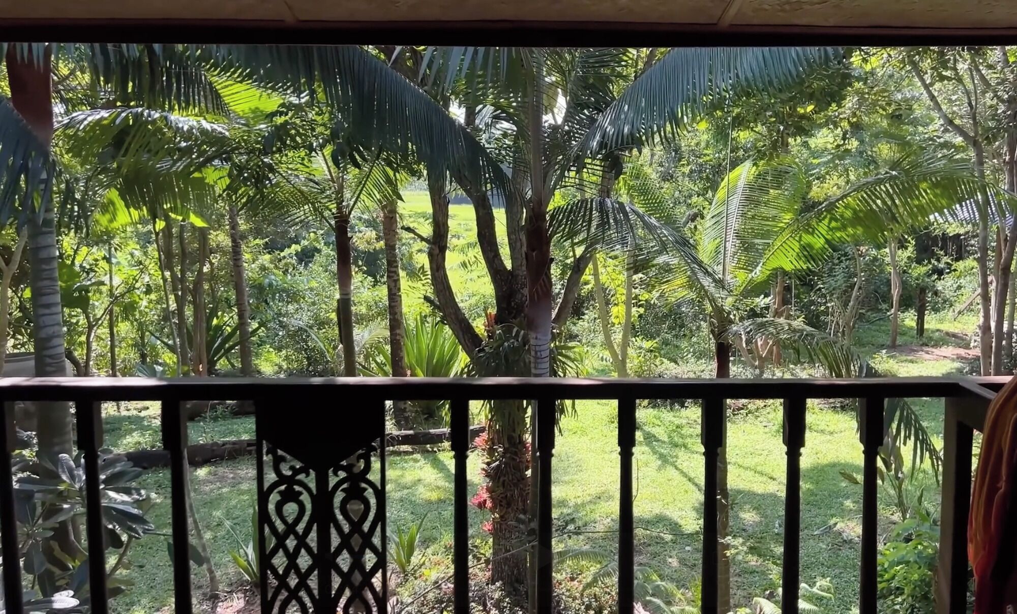 Un balcón con barandilla de hierro forjado con vistas a un jardín exuberante con diversas plantas y árboles tropicales.