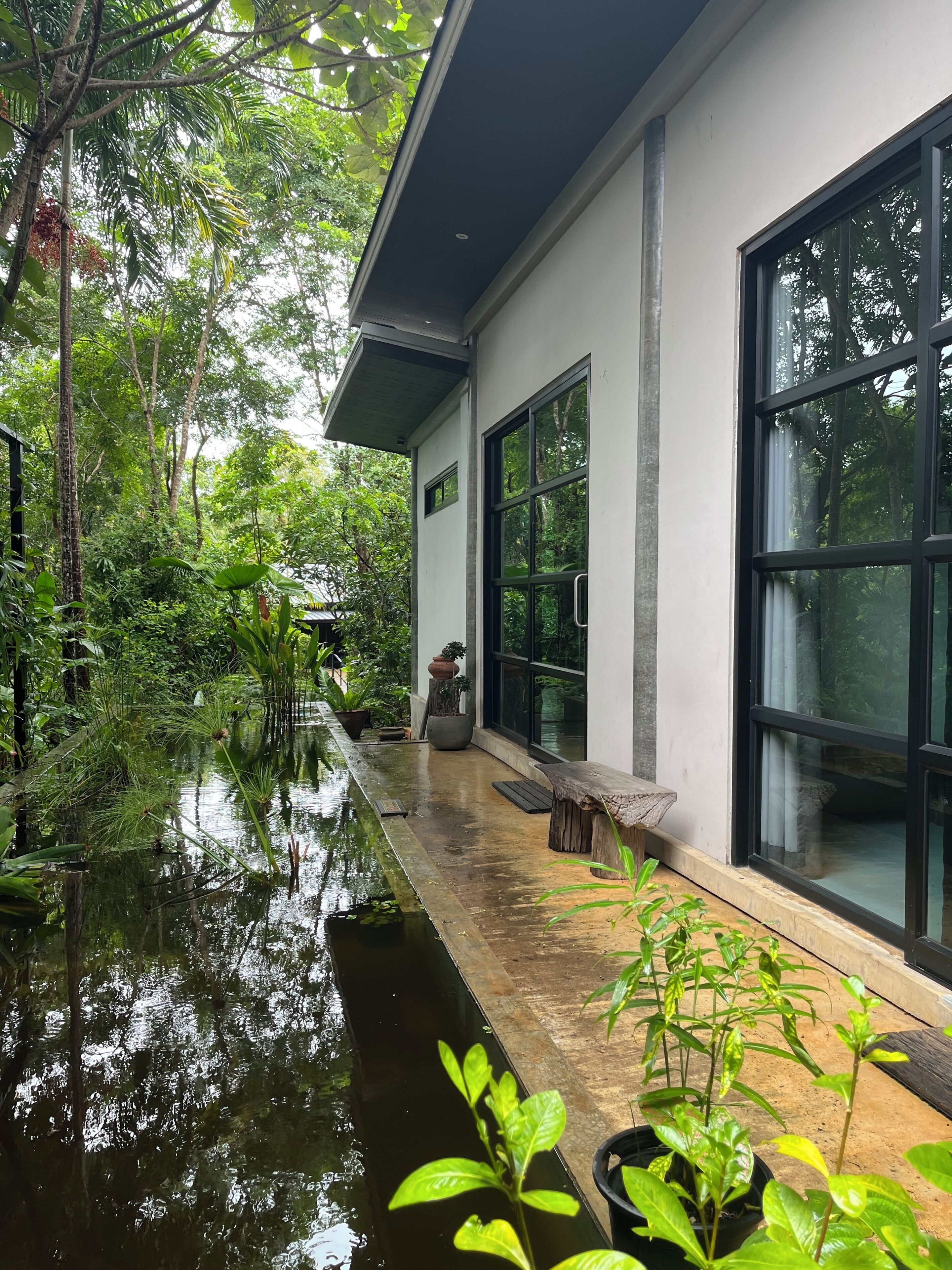 Standard Room | Courtyard view