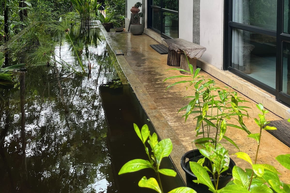 Standard Room | Courtyard view