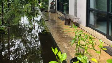 A modern building with large windows, a water feature, and lush greenery.