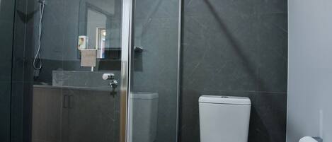 A modern bathroom with a glass shower enclosure, a toilet, and a sink.