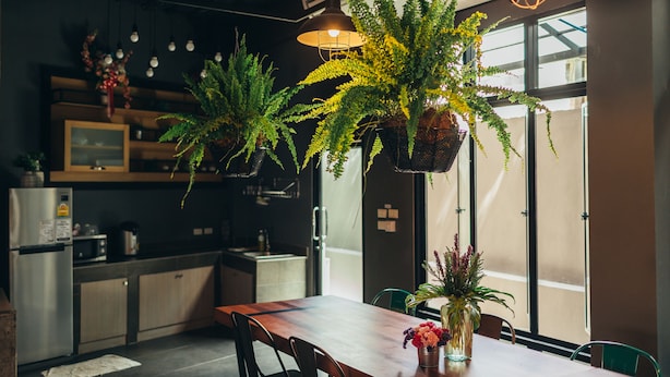 Food and drink - Srisuksant Square - Hostel (Krabi)