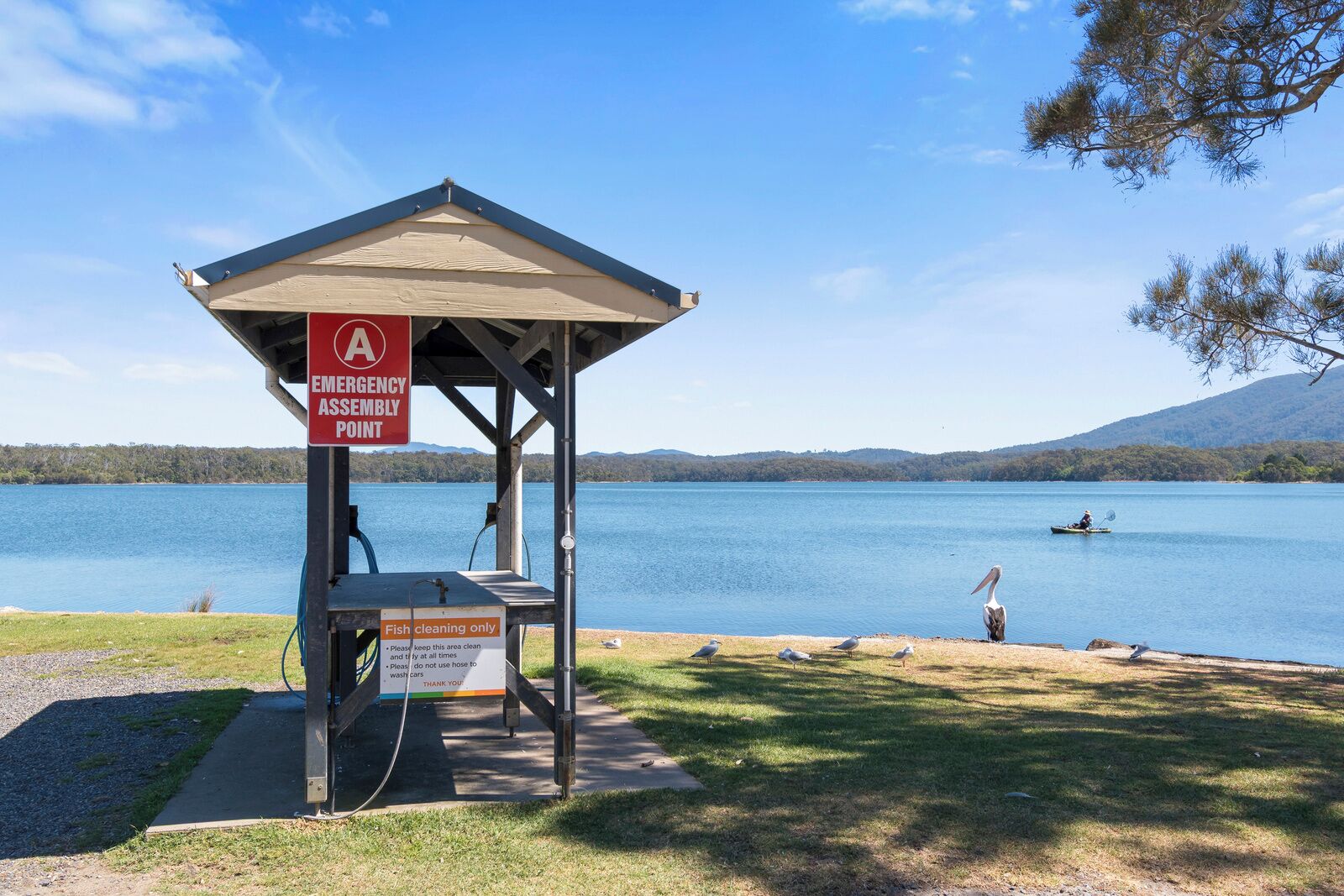 Schild für Sammelpunkte im Notfall, ein Fischreinigungsbereich und ein See mit einem Kajak und Pelikanen.