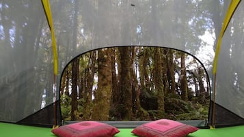 A tent with a view of a forest. Inside the tent, there is a green mattress with two pillows.