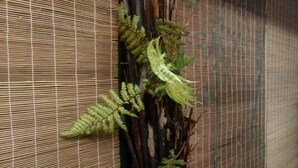 A wall with a bamboo mat and a vertical arrangement of ferns. - Pupu Rangi Nature Sanctuary - Conservation Area (Donnellys Crossing)