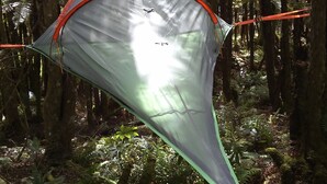A tent set up in a forest with dense trees and ferns around. - Pupu Rangi Nature Sanctuary - Conservation Area (Donnellys Crossing)