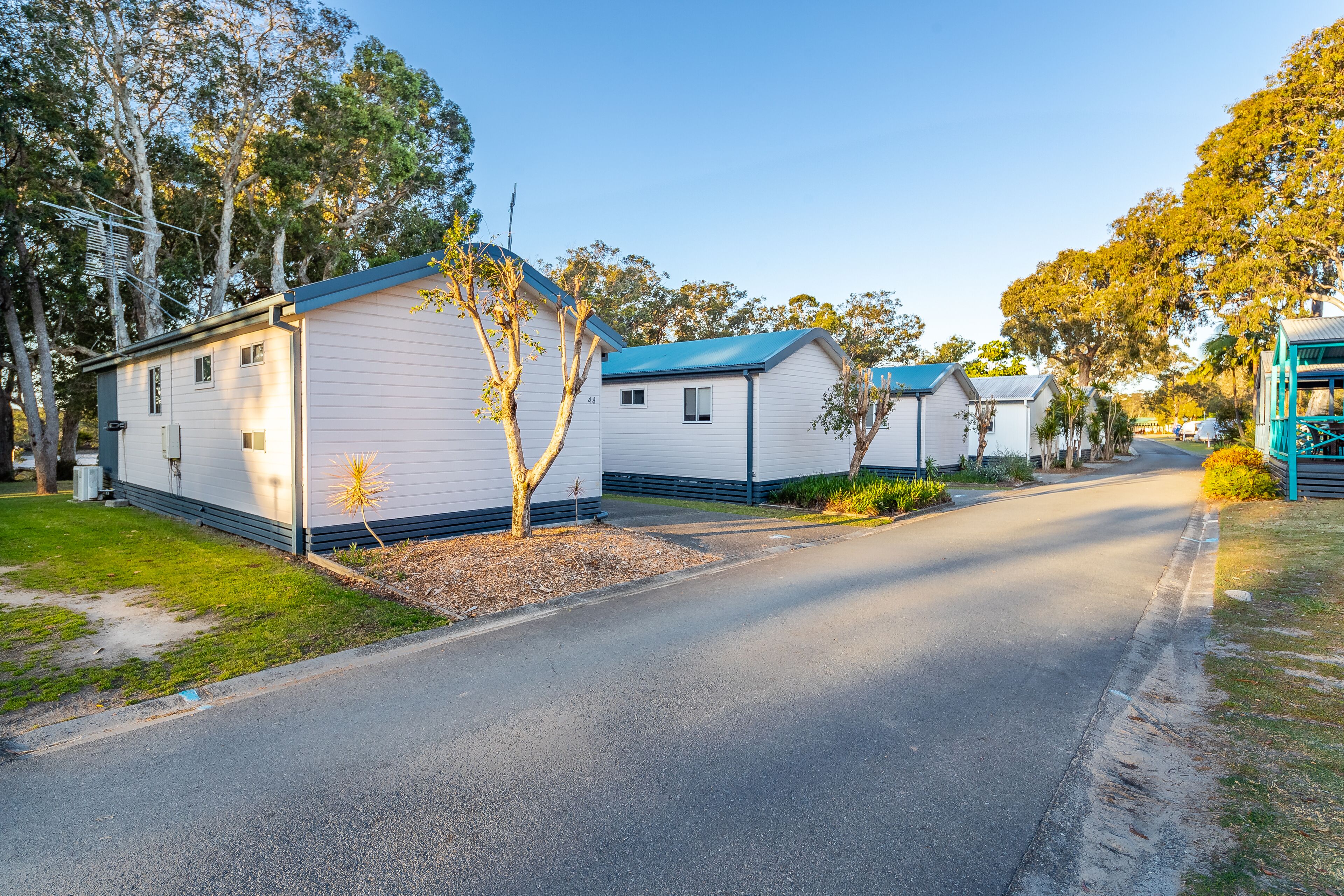 A row of mobile homes with a paved driveway and trees in the background.