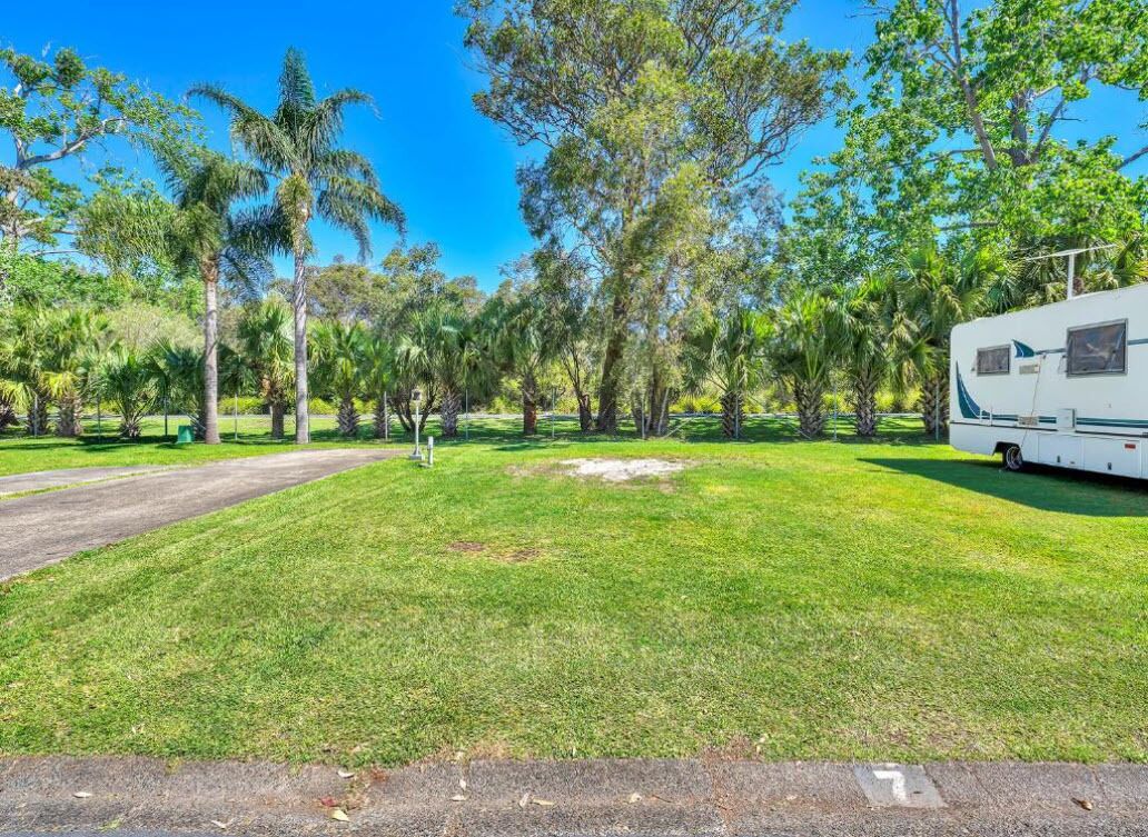 A grassy area with a white RV parked on the right, surrounded by trees.