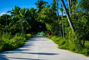 Una carretera pavimentada bordeada por exuberante vegetación y altas palmeras.