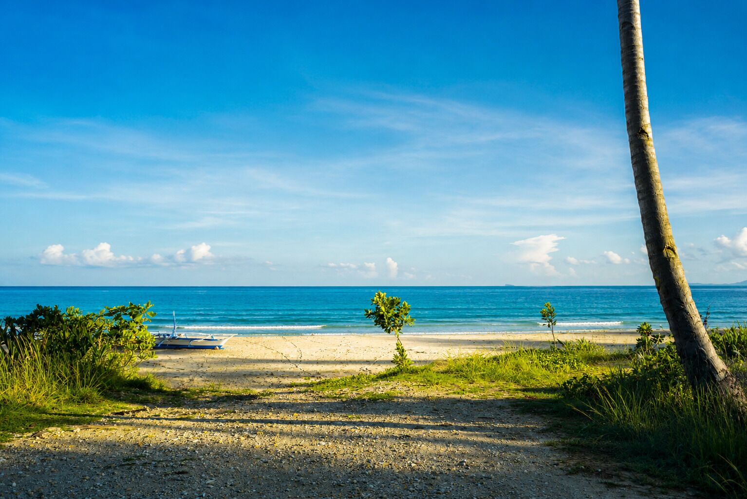 Une plage avec un bateau, des palmiers et un ciel bleu dégagé.