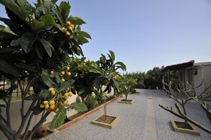 Áreas de la propiedad