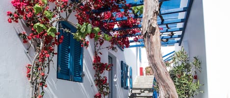 Overnattingsstedets uteområder