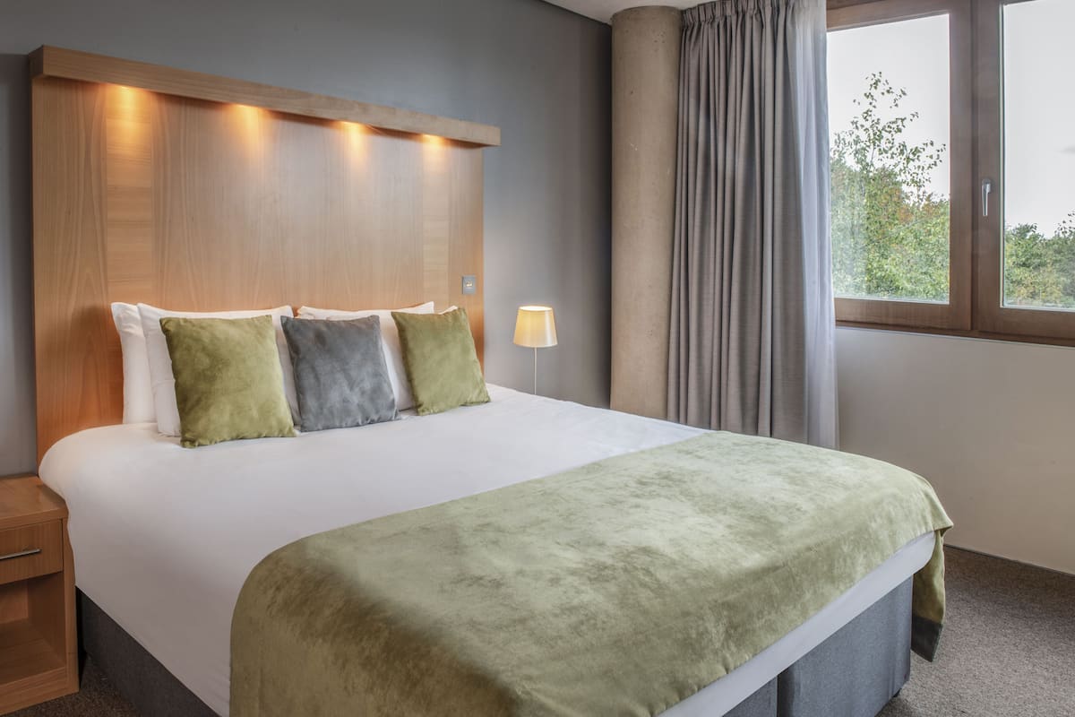 A hotel room with a large bed, a wooden headboard with built-in lighting, a bedside lamp, and a view of trees through a window with curtains.
