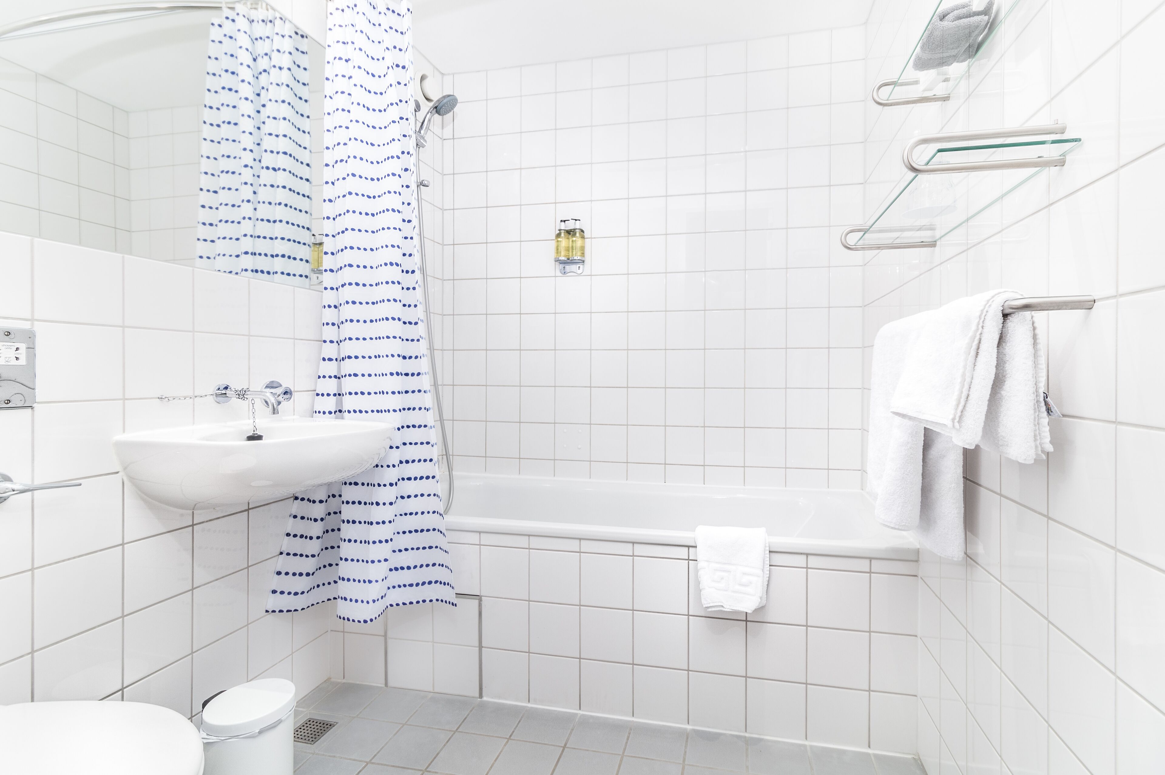 combined shower/bathtub, free toiletries, hair dryer, towels