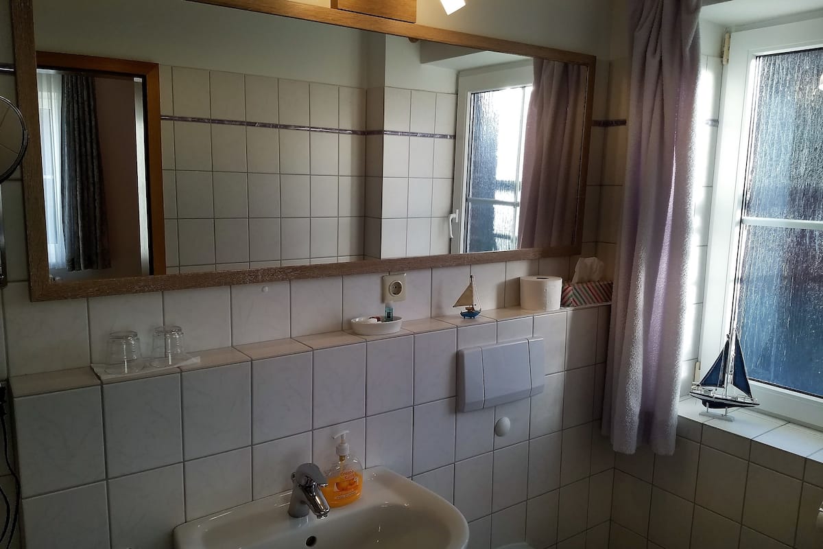 shower, free toiletries, hair dryer, towels