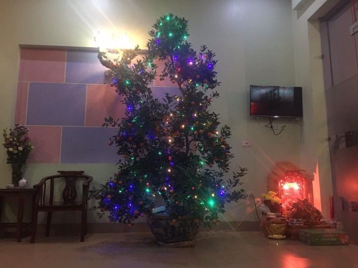 Photo - Đức Hiếu 1 Noi Bai Hotel