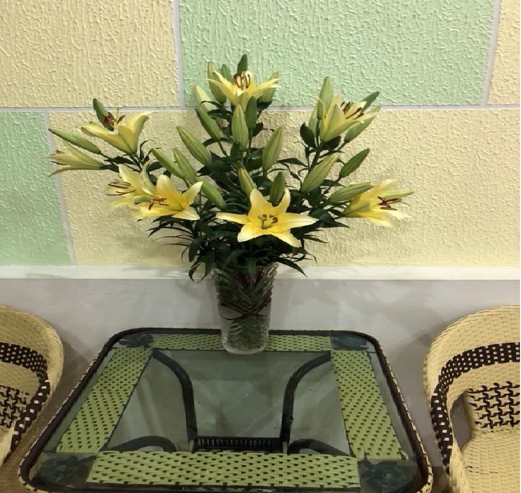 Photo - Đức Hiếu 1 Noi Bai Hotel