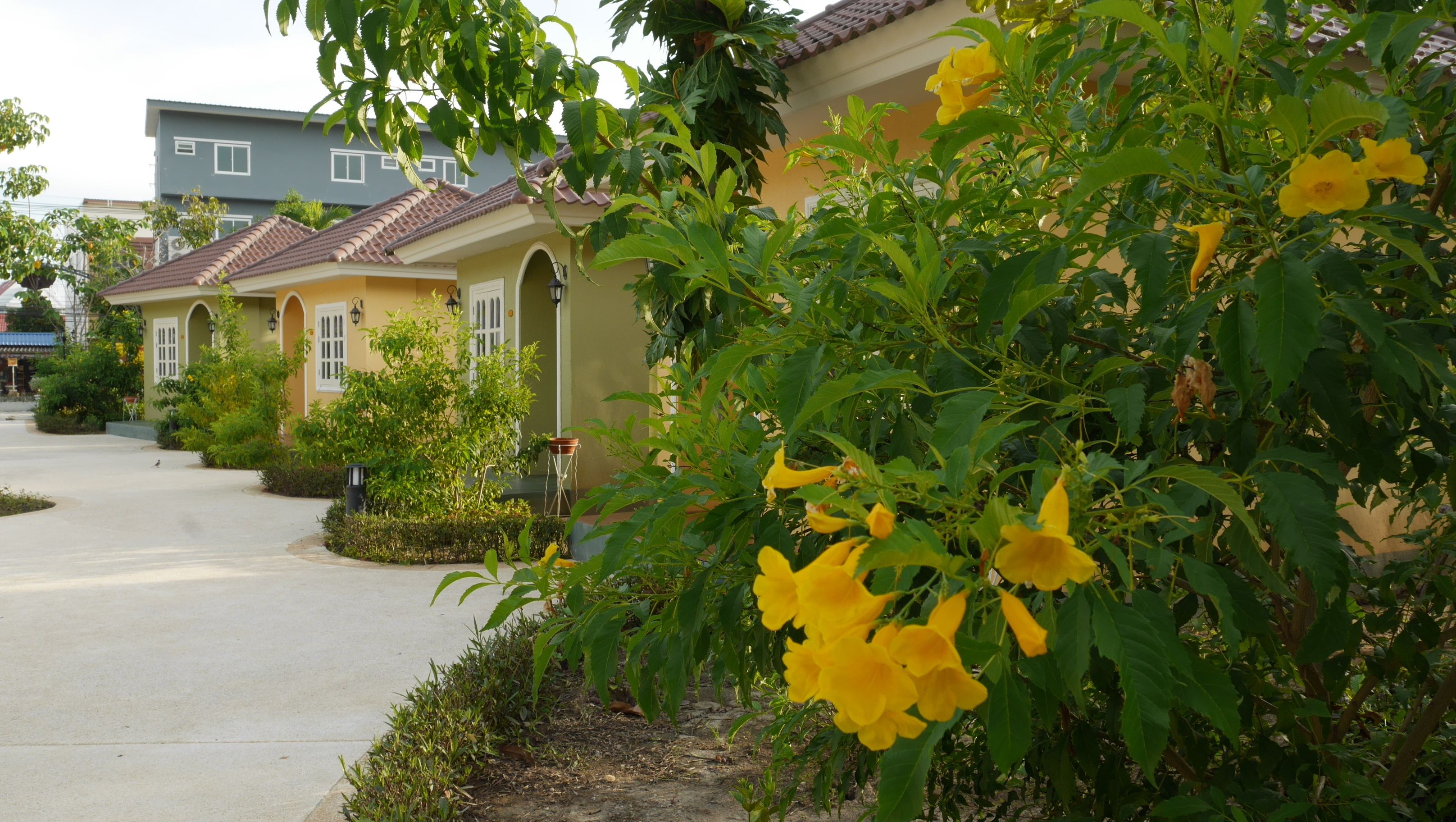 Un barrio residencial con casas, un camino pavimentado y abundante vegetación.