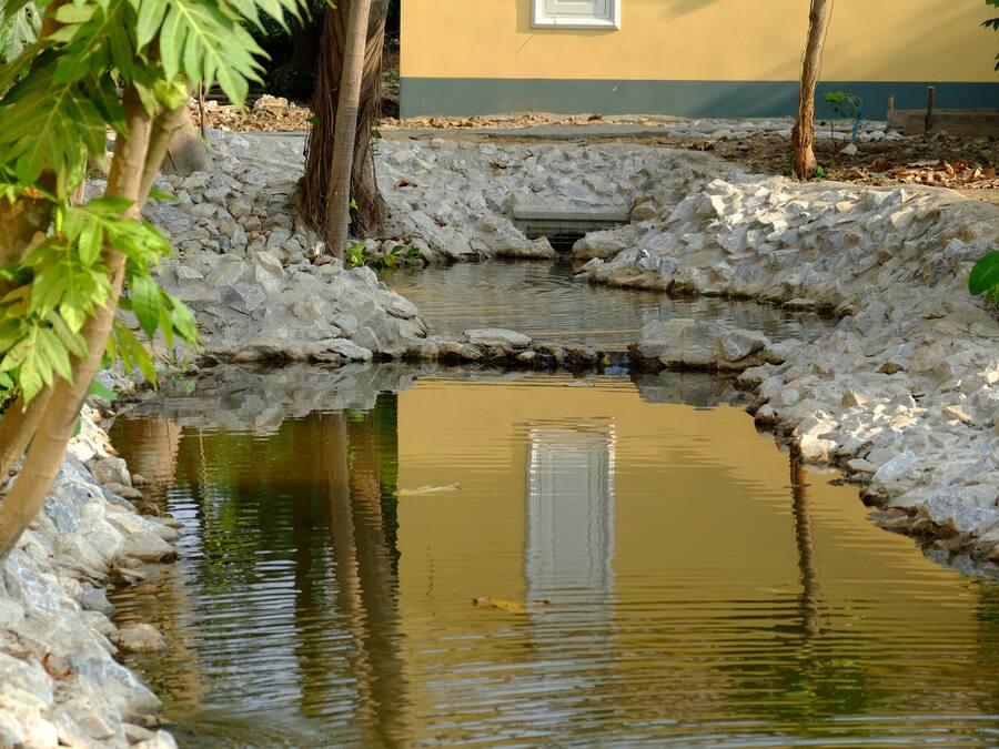 Un pequeño estanque con borde de piedra, rodeado de árboles y un edificio al fondo.