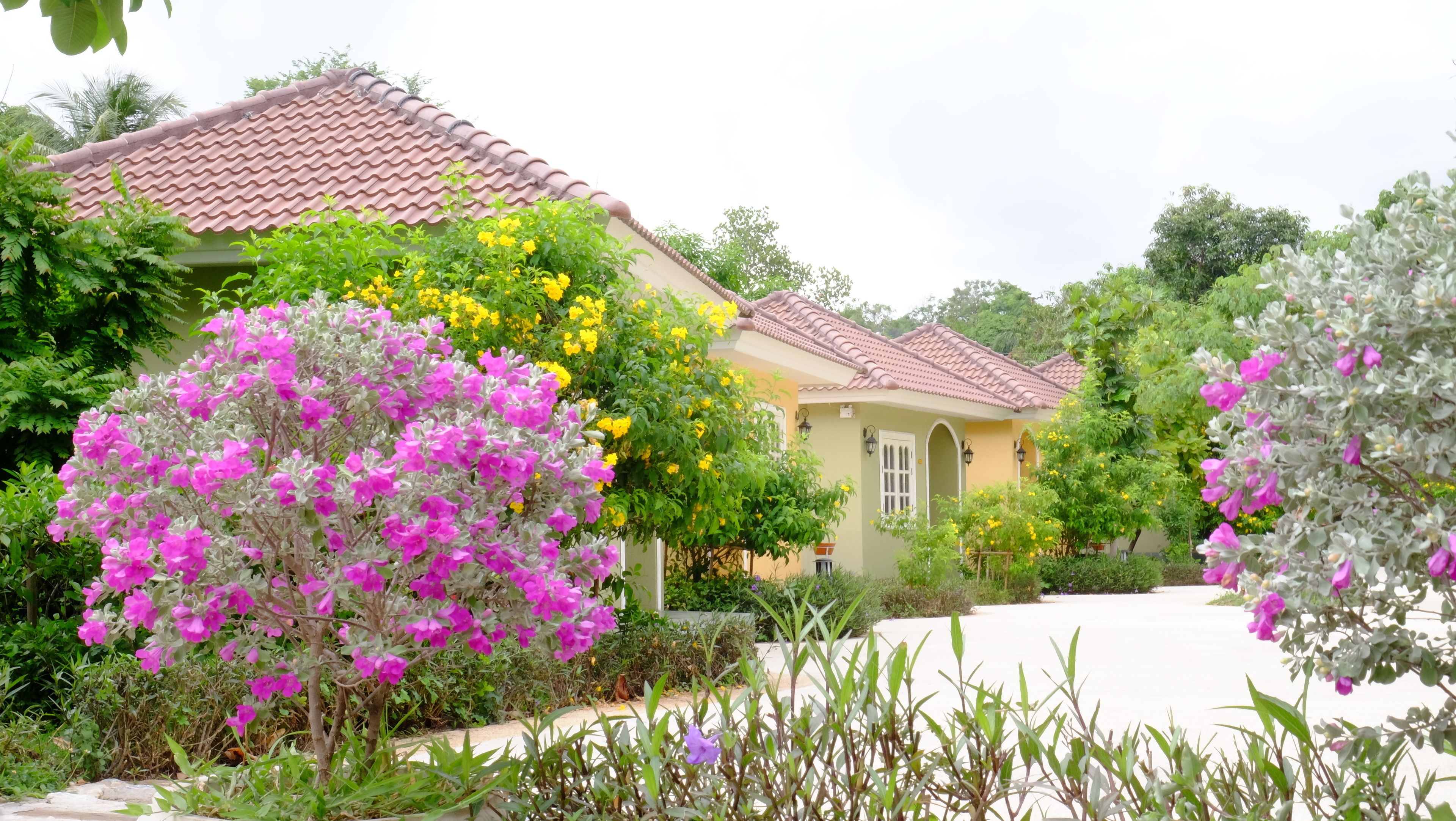 A house with a tiled roof, surrounded by lush greenery and flowering plants.