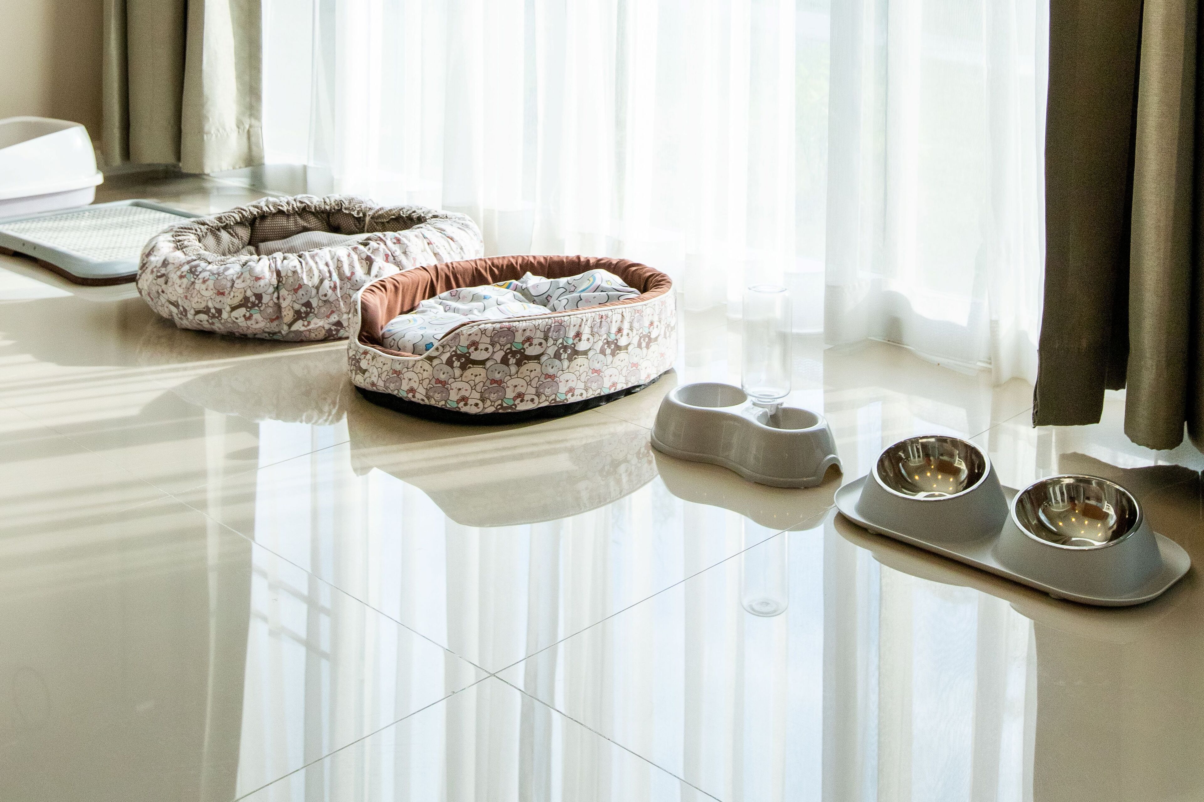 A pet bed and two bowls on a shiny floor.