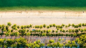 Une vue aérienne d’une plage bordée de rangées de palmiers et d’une route parallèle au rivage.