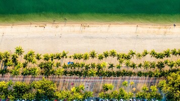 Vista aérea de una playa con filas de palmeras y una carretera paralela a la orilla.