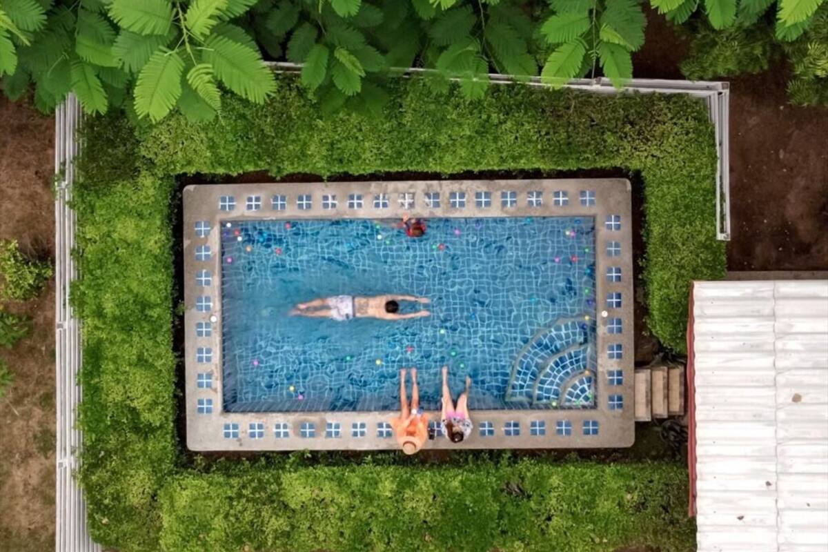 Une vue aérienne d’une piscine rectangulaire, entourée d’une végétation luxuriante.