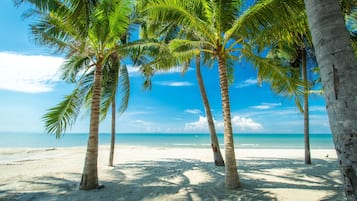Cảnh từ trên cao