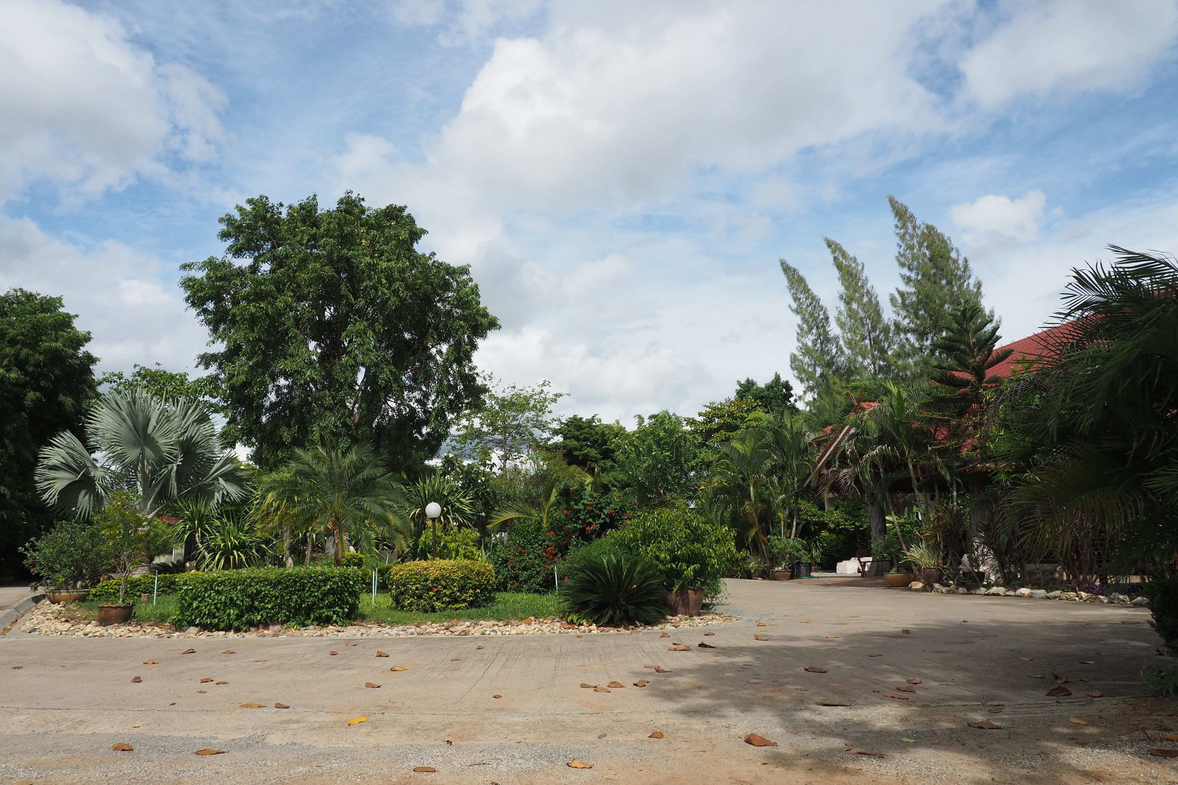 A spacious outdoor area with a paved walkway, surrounded by various types of greenery and trees.