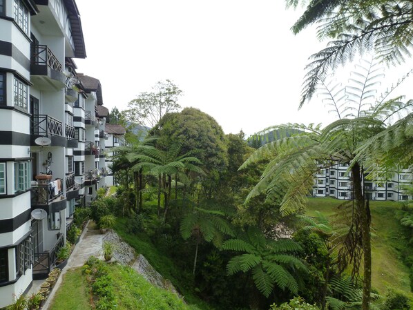 Vista da propriedade