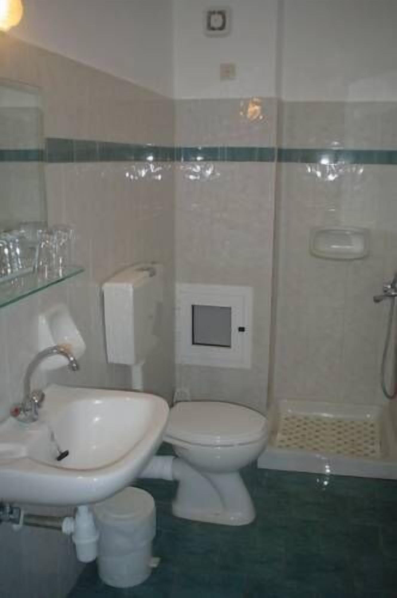 Une salle de bain avec un lavabo, des toilettes et une douche.