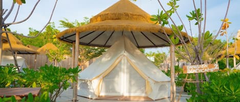 Camp Seaview | Property grounds