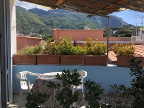 Eine Terrasse mit Blumentöpfen, einem Tisch und Stühlen.
