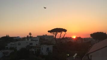 Un atardecer sobre una zona residencial con edificios y un árbol destacado.