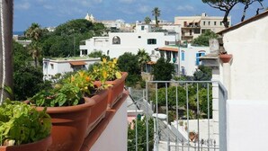 A rooftop terrace with terracotta planters, a metal railing, and a view of the cityscape in the background. - Ring Hostel (Forio)