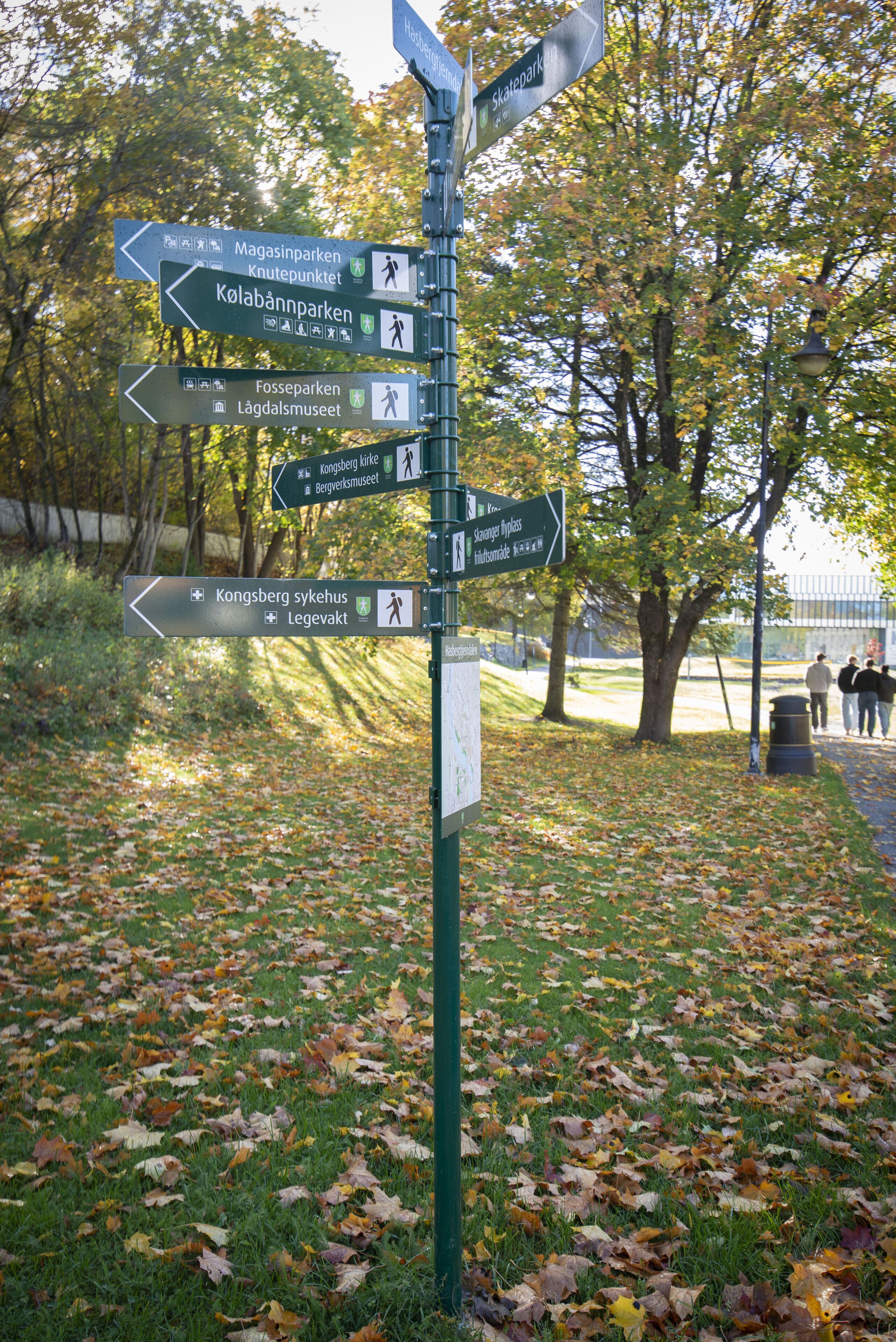 A directional signpost with multiple arrows pointing to various outdoor destinations.