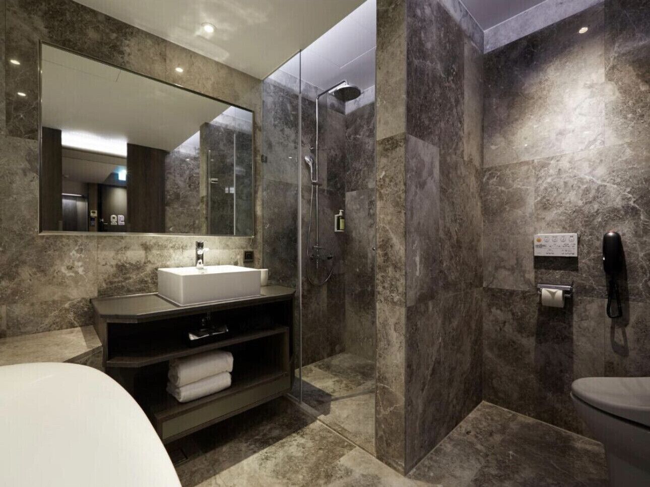 deluxe double room with bathtub | bathroom | shower, hydromassage showerhead, free toiletries, hair dryer