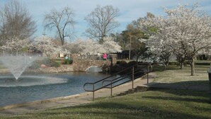 Un parque con una fuente, un puente de piedra y flores de cerezo.