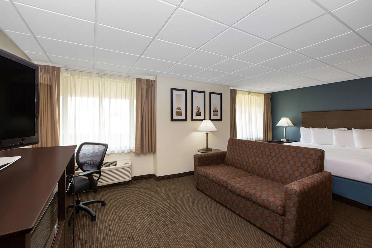 Habitación de hotel con cama, sofá, escritorio con silla, televisor y cuadros en la pared.