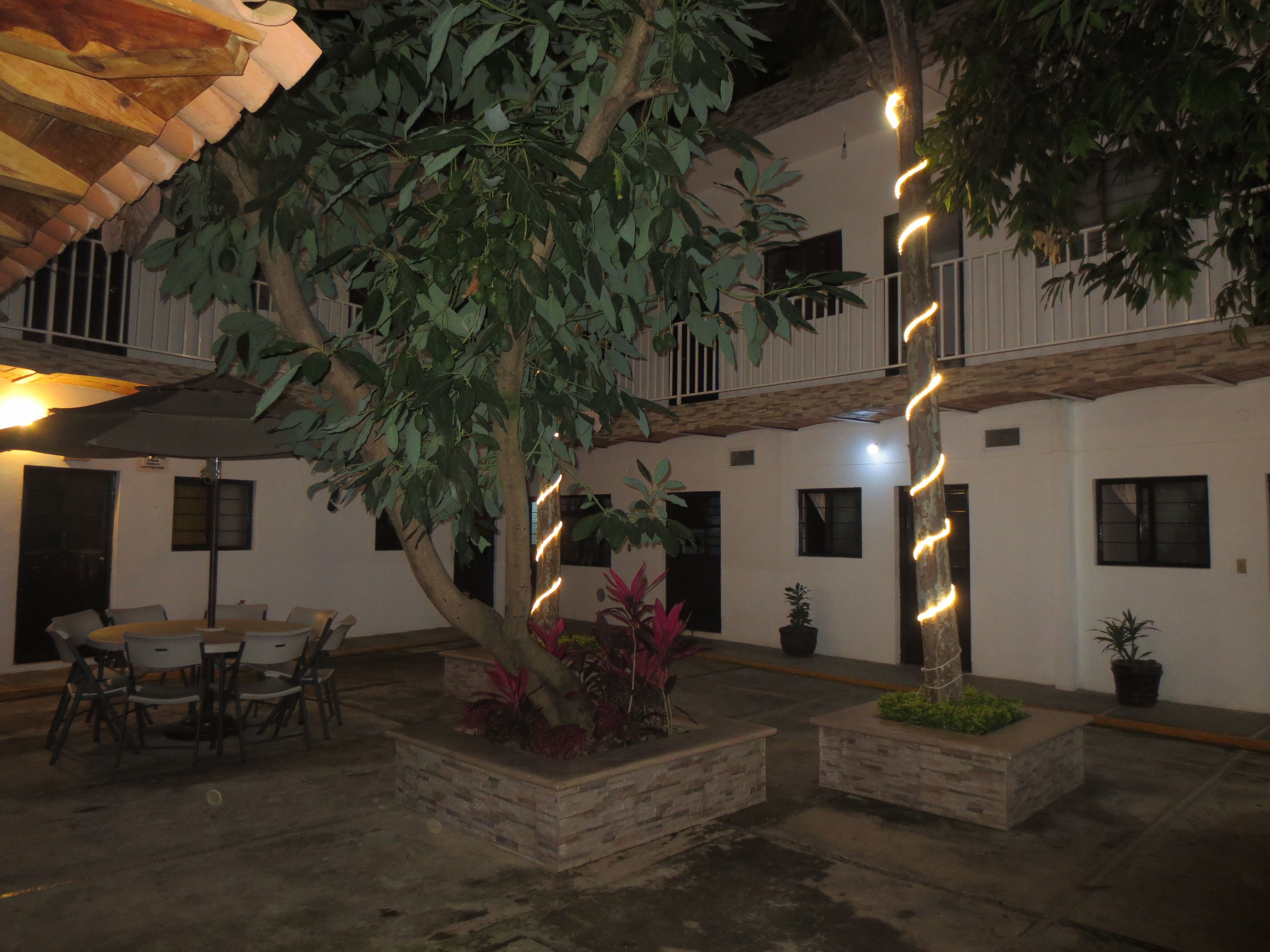 An outdoor patio area with a dining table and chairs, surrounded by planters and a tree.