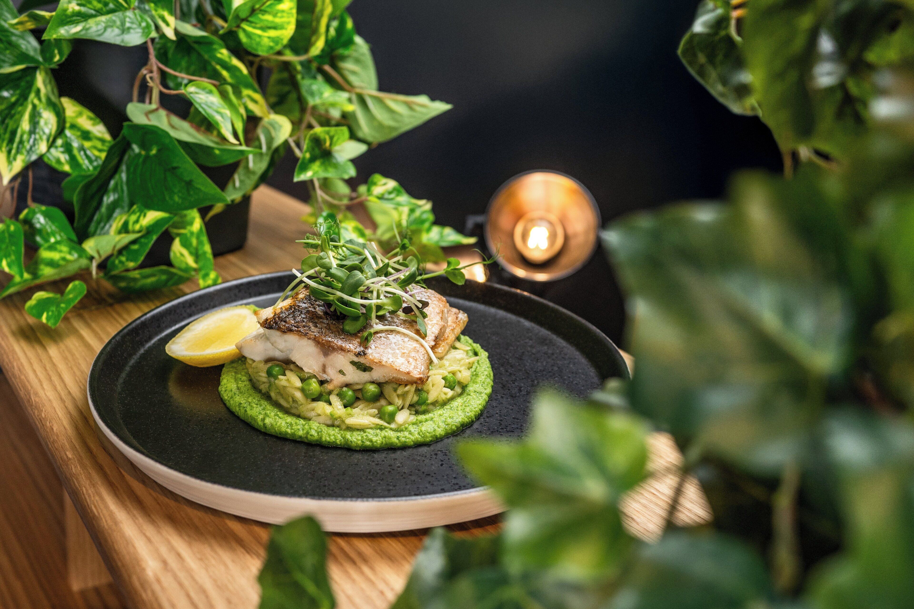 Prato de comida com molho verde, peixe, folhos verdes e um gomo de limão.